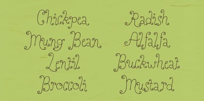 Perfect Sprouts Font Poster 8