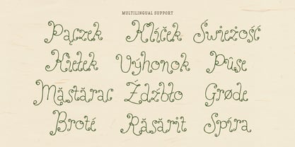 Perfect Sprouts Font Poster 10