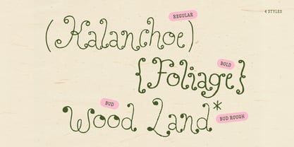 Perfect Sprouts Font Poster 3