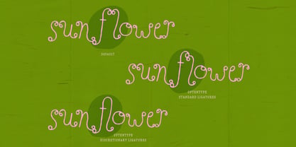 Perfect Sprouts Font Poster 9