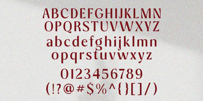 Zt Aveline Chapter Font Poster 14