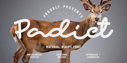 Padict Font Poster 1