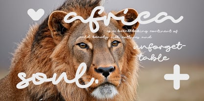 Padict Font Poster 2