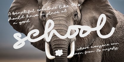 Padict Font Poster 3