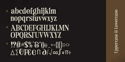 Camiron Font Poster 10