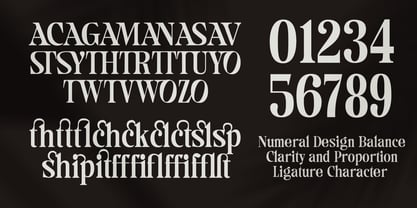 Camiron Font Poster 9