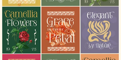 De Elora Font Poster 7