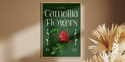 De Elora Font Poster 14
