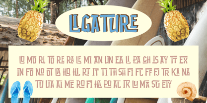 Maoni Font Poster 6