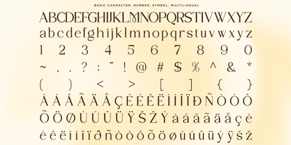 Sylvian Font Poster 10