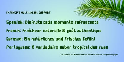 Es Degan Font Poster 5