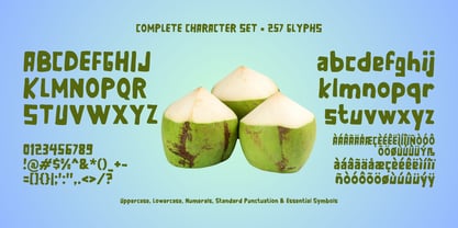 Es Degan Font Poster 4