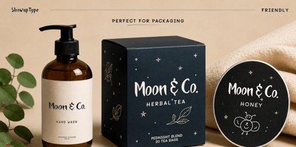 The Moon Font Poster 4