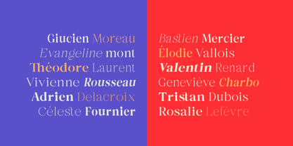 Solsano Font Poster 7