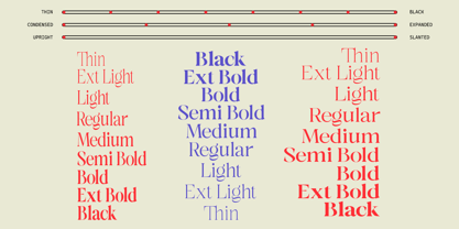 Solsano Font Poster 4