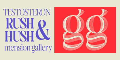 Solsano Font Poster 2
