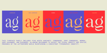 Solsano Font Poster 10