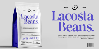 Solsano Font Poster 6