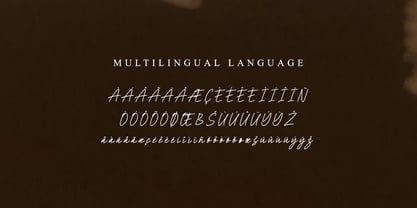 MLTP Austaney Signature Font Poster 11