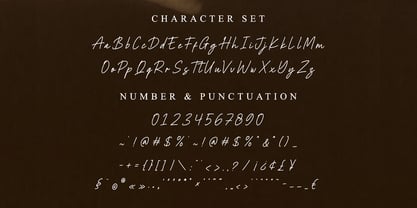 MLTP Austaney Signature Font Poster 10