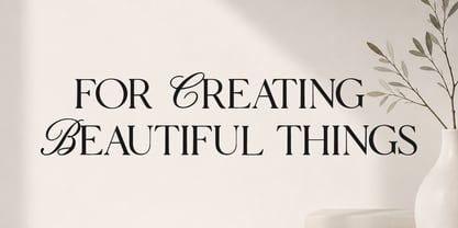 Balveros Vecia Script Font Poster 6