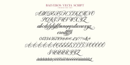 Balveros Vecia Script Font Poster 5