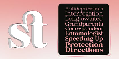 Novestia Font Poster 6