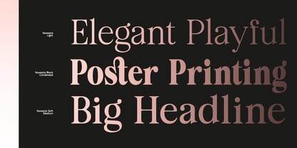 Novestia Font Poster 9