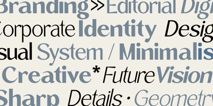 Zegion Font Poster 3