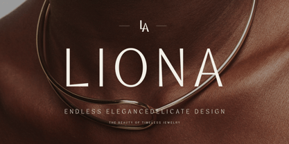 Zegion Font Poster 13