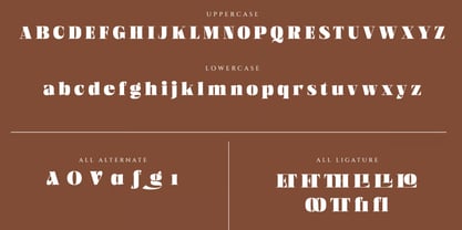 Quadfix Font Poster 7