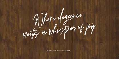 Westerning Brush Signature Font Poster 4