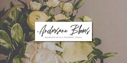 Westerning Brush Signature Font Poster 8
