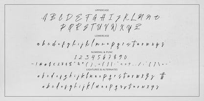 Westerning Brush Signature Font Poster 9