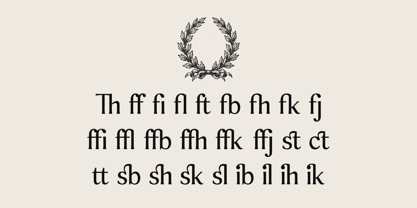Sonne Font Poster 8