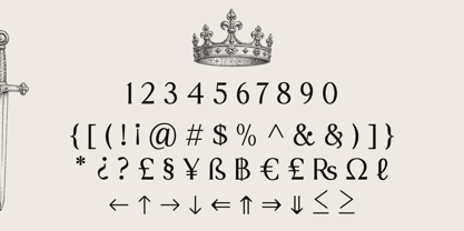 Sonne Font Poster 13