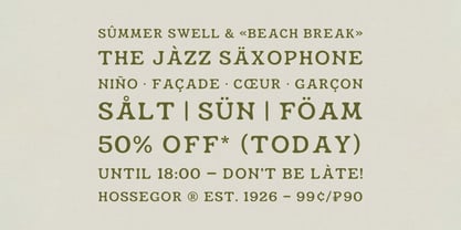 Hossegor Retro Surf Serif Display Font Poster 5