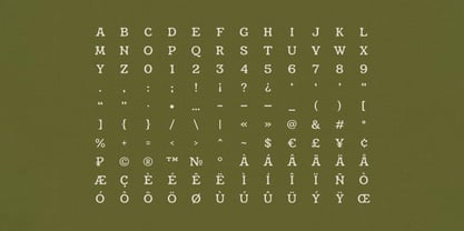 Hossegor Retro Surf Serif Display Font Poster 3
