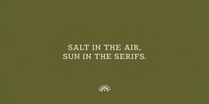 Hossegor Retro Surf Serif Display Font Poster 6