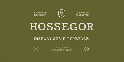 Hossegor Retro Surf Serif Display Font Poster 1