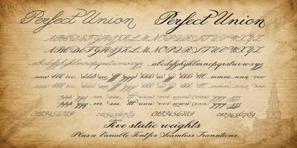 Perfect Union Script Font Poster 4