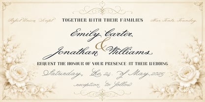 Perfect Union Script Font Poster 7