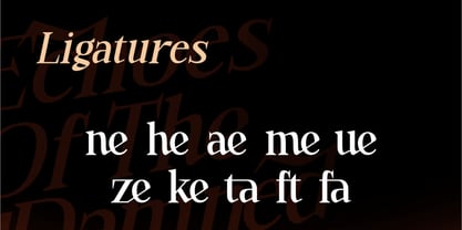 Halozed Font Poster 6