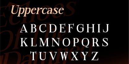 Halozed Font Poster 10