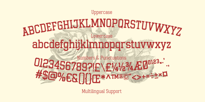 Gumbolt Font Poster 13