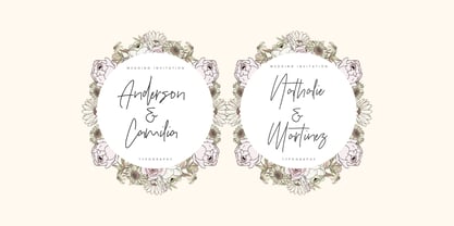 Figetress Signature Font Poster 9