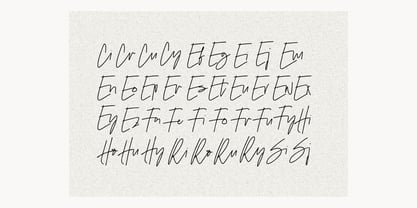Figetress Signature Font Poster 6