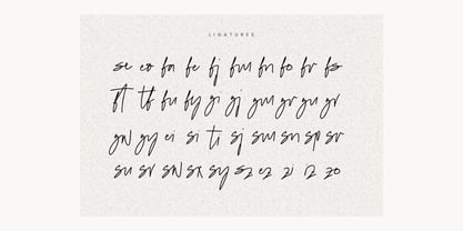 Figetress Signature Font Poster 5