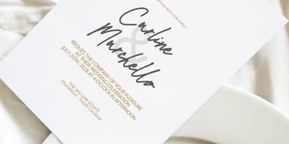Waffelli Signature Font Poster 6