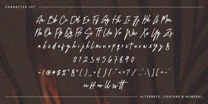 Waffelli Signature Font Poster 2